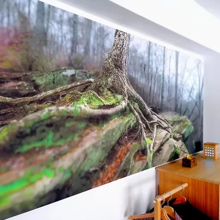 Wooden Touch *